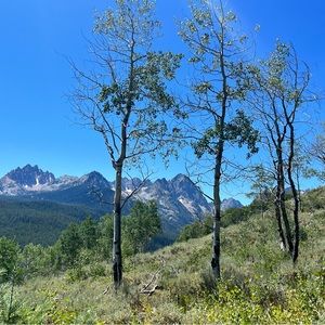 Meet your Posher, Kirsten